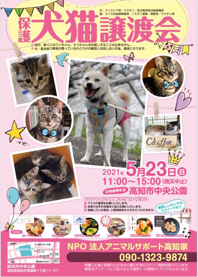 保護犬猫譲渡会