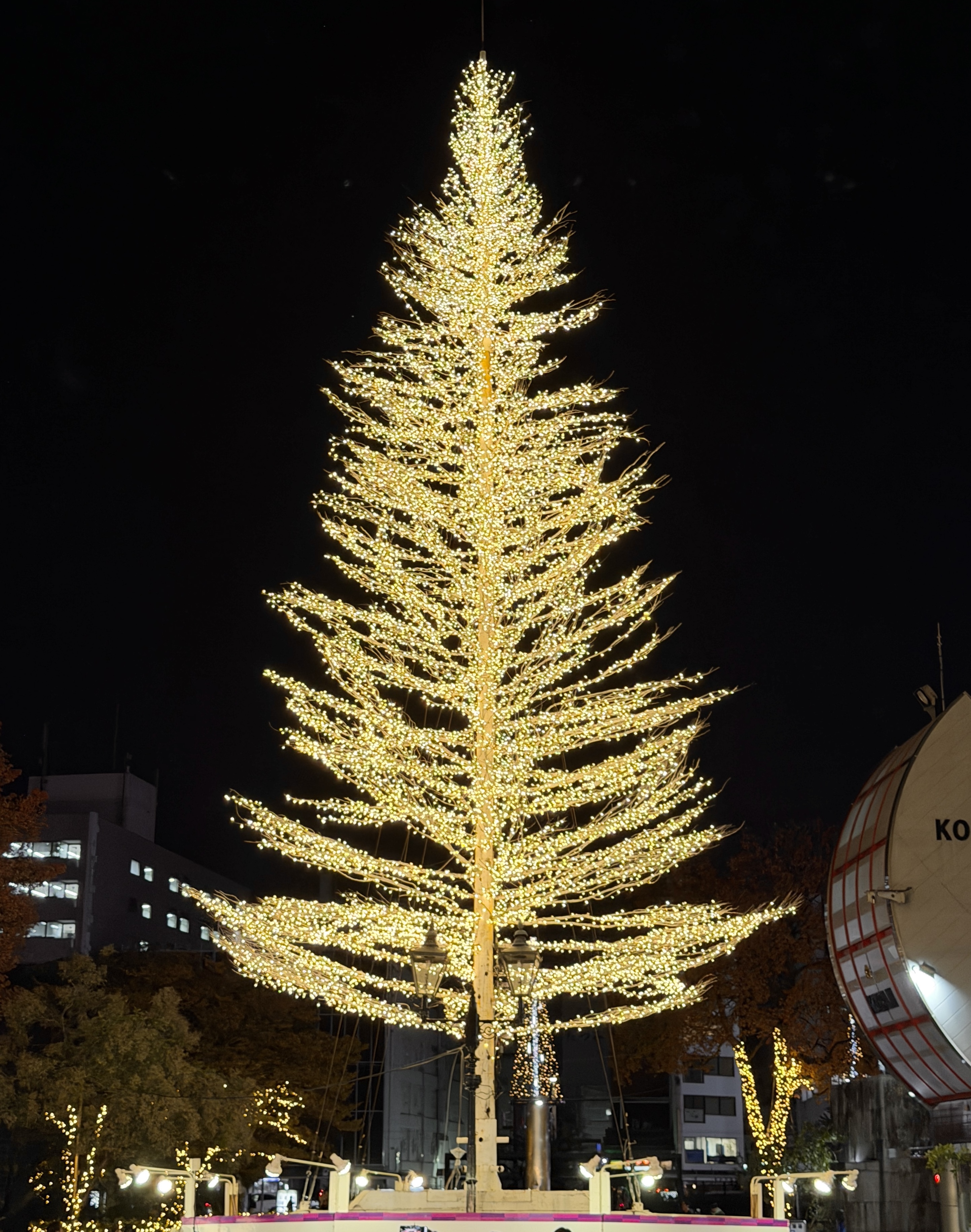 イルミネーションフェスタ2025